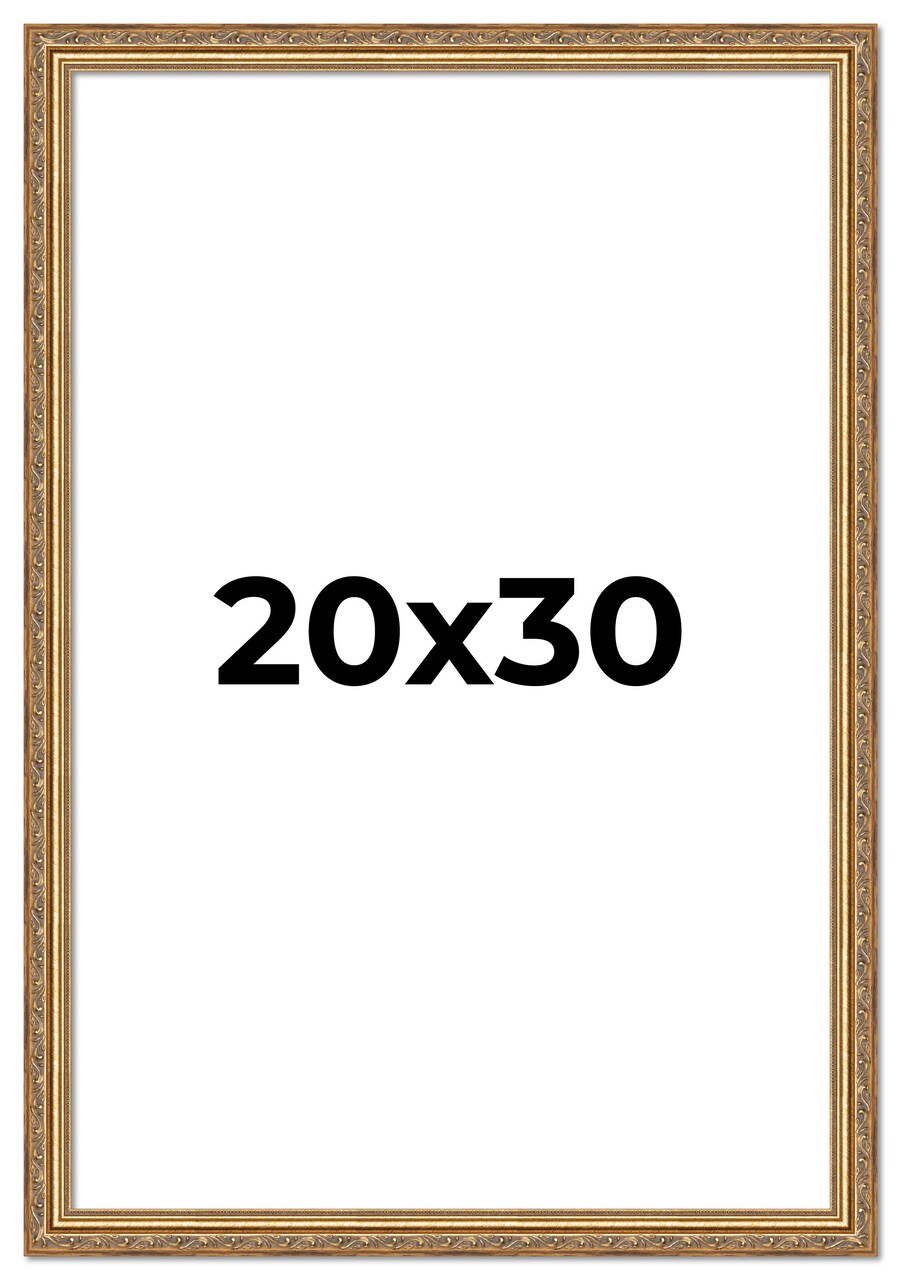 20x30 Museum-Quality Picture Frame with UV-Resistant Acrylic & Acid-Free Backing, Available in 4 Finishes - Gold, Silver, Bronze, and Black